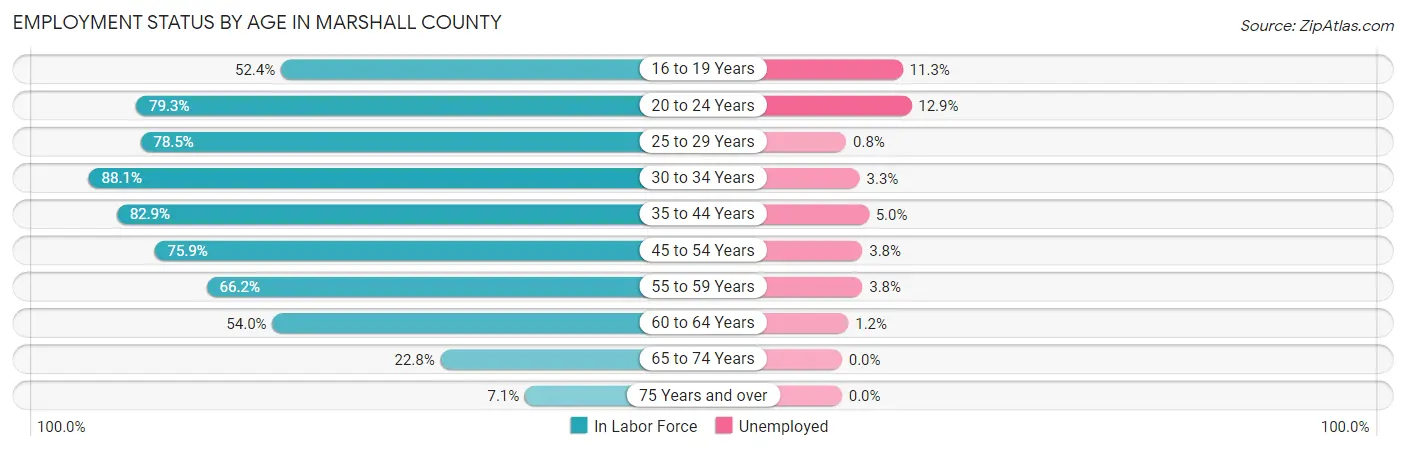 Employment Status by Age in Marshall County