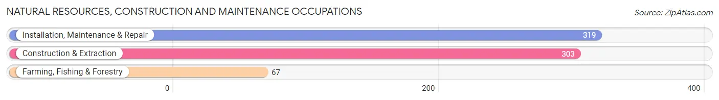 Natural Resources, Construction and Maintenance Occupations in Marshall County