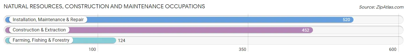 Natural Resources, Construction and Maintenance Occupations in McDonough County