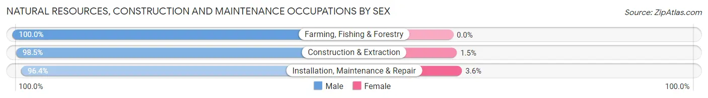 Natural Resources, Construction and Maintenance Occupations by Sex in Monroe County