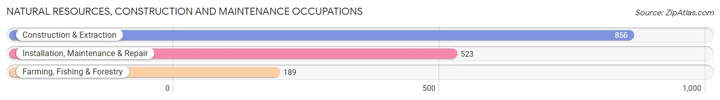 Natural Resources, Construction and Maintenance Occupations in Monroe County