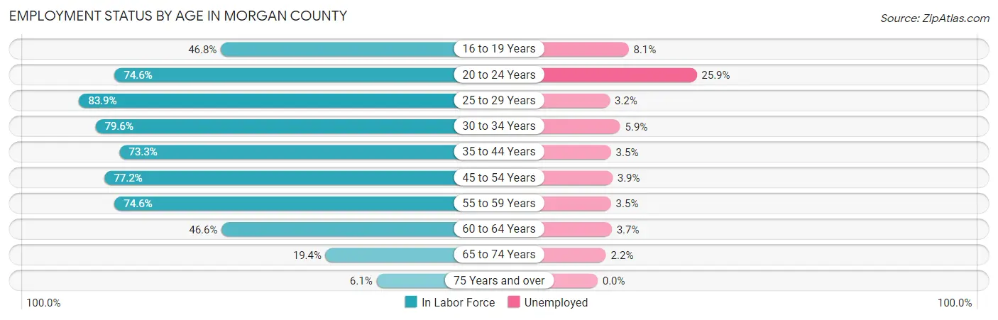 Employment Status by Age in Morgan County