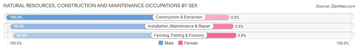 Natural Resources, Construction and Maintenance Occupations by Sex in Morgan County
