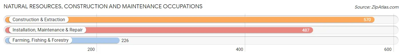 Natural Resources, Construction and Maintenance Occupations in Morgan County