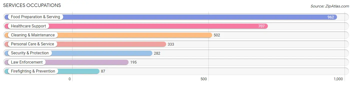 Services Occupations in Morgan County