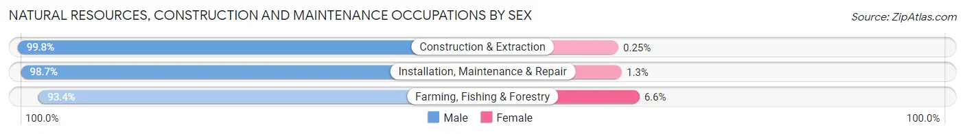 Natural Resources, Construction and Maintenance Occupations by Sex in Pike County