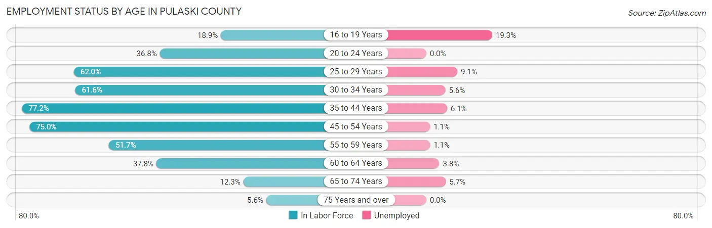 Employment Status by Age in Pulaski County