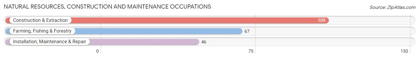 Natural Resources, Construction and Maintenance Occupations in Pulaski County