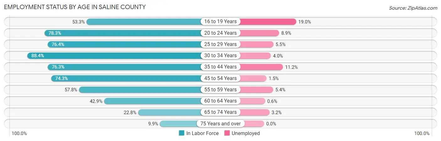 Employment Status by Age in Saline County