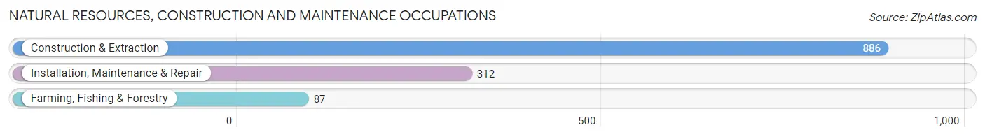 Natural Resources, Construction and Maintenance Occupations in Saline County