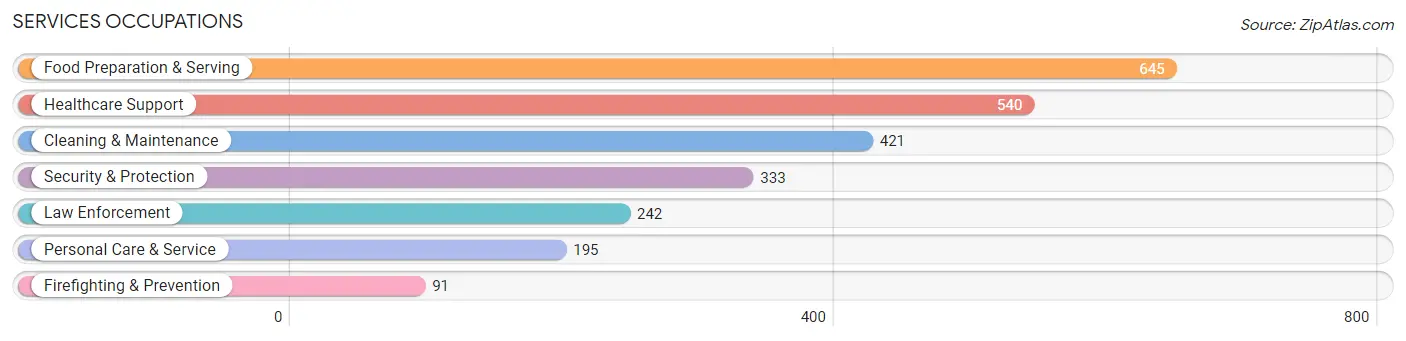 Services Occupations in Saline County