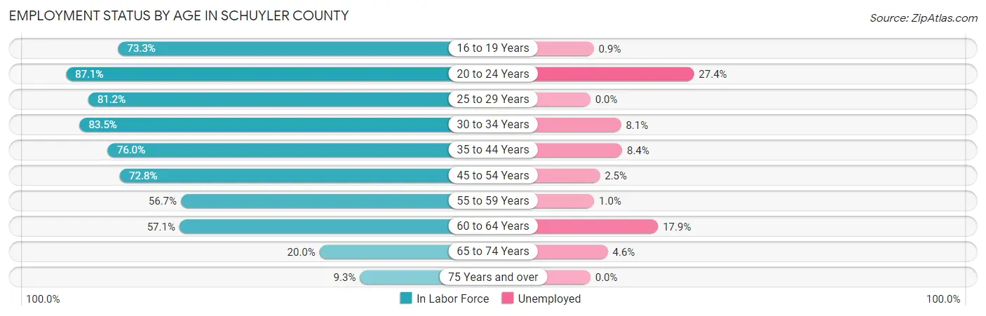 Employment Status by Age in Schuyler County