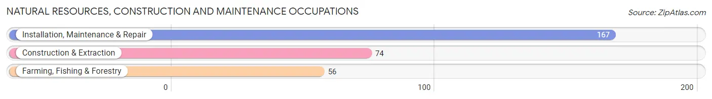 Natural Resources, Construction and Maintenance Occupations in Schuyler County