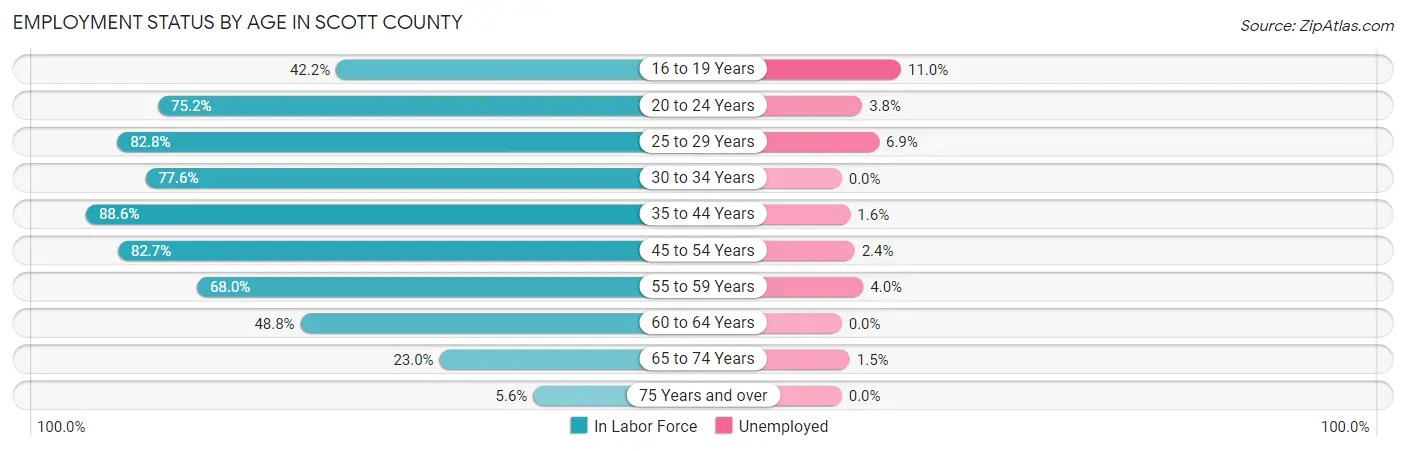 Employment Status by Age in Scott County