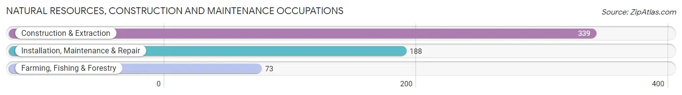 Natural Resources, Construction and Maintenance Occupations in Wabash County