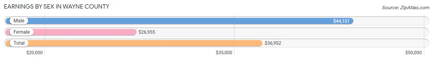 Earnings by Sex in Wayne County