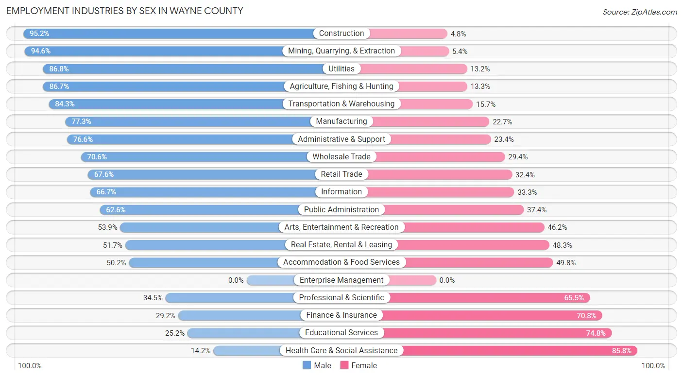 Employment Industries by Sex in Wayne County