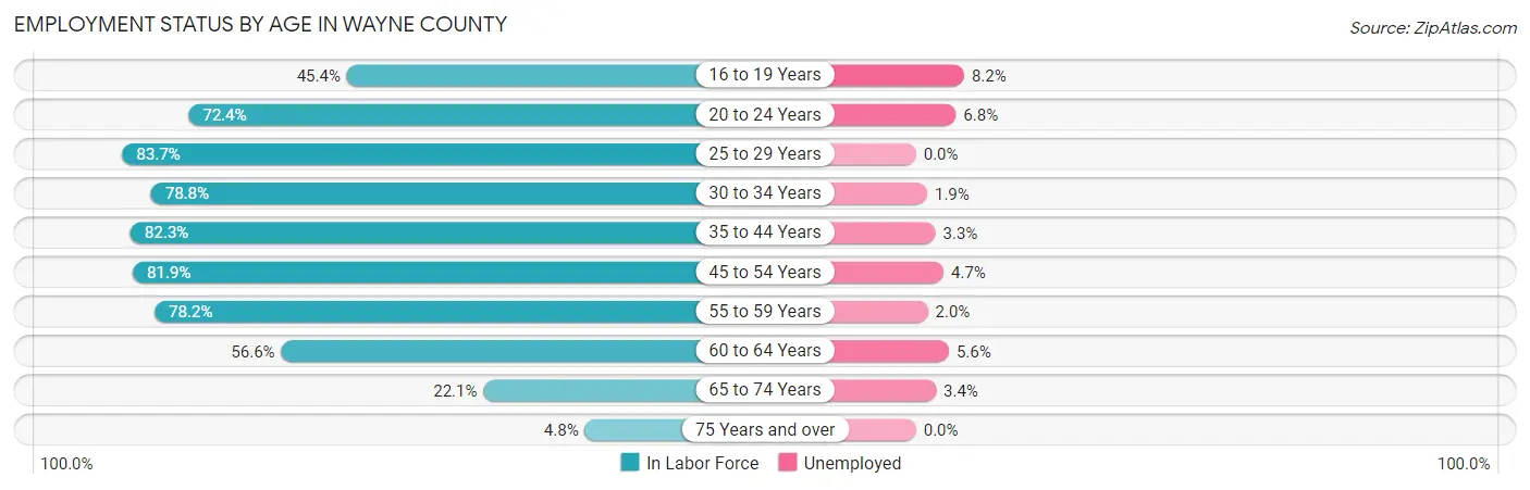 Employment Status by Age in Wayne County
