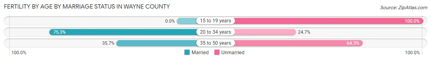 Female Fertility by Age by Marriage Status in Wayne County