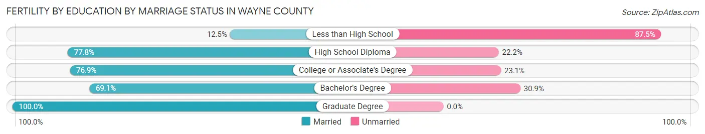 Female Fertility by Education by Marriage Status in Wayne County