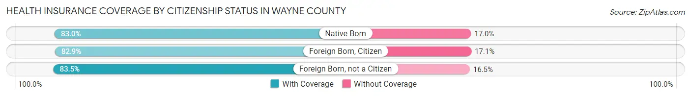 Health Insurance Coverage by Citizenship Status in Wayne County