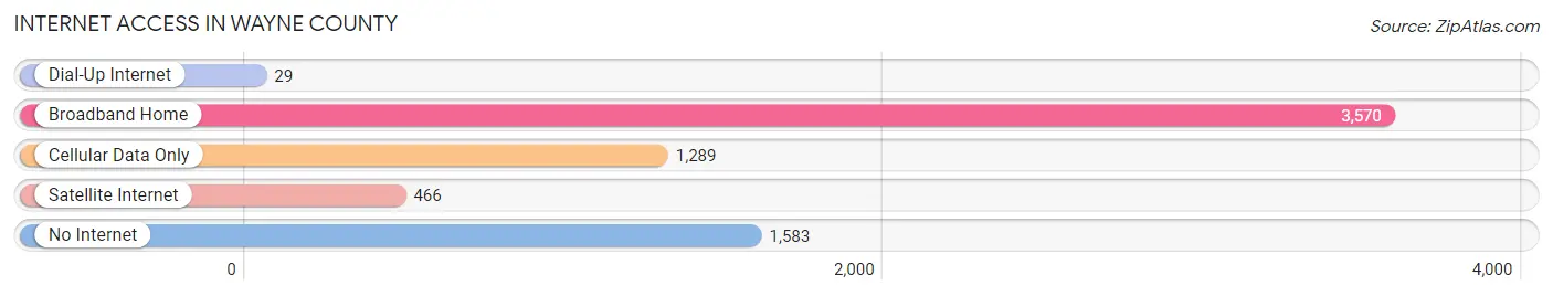 Internet Access in Wayne County