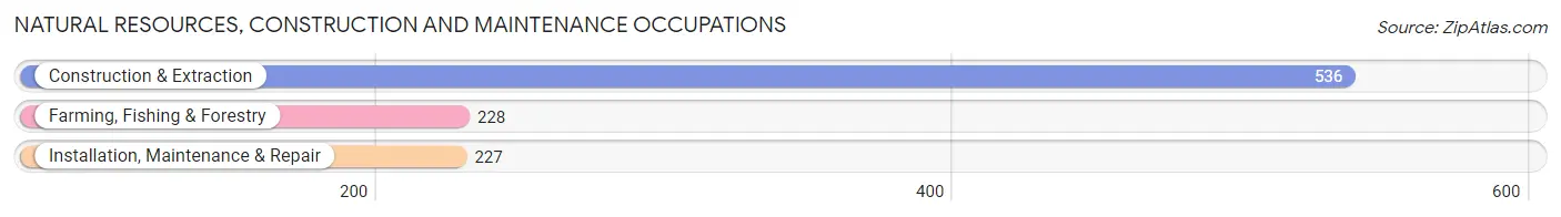 Natural Resources, Construction and Maintenance Occupations in Wayne County