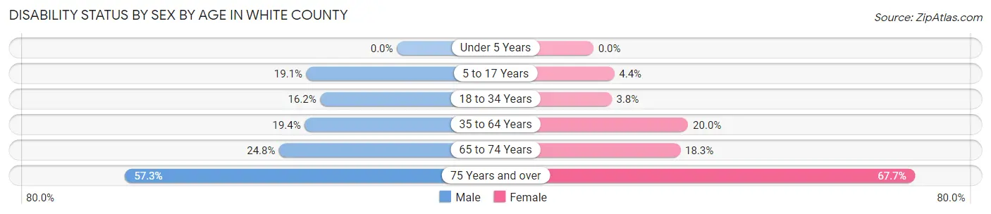 Disability Status by Sex by Age in White County