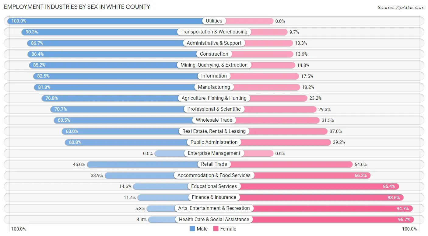 Employment Industries by Sex in White County