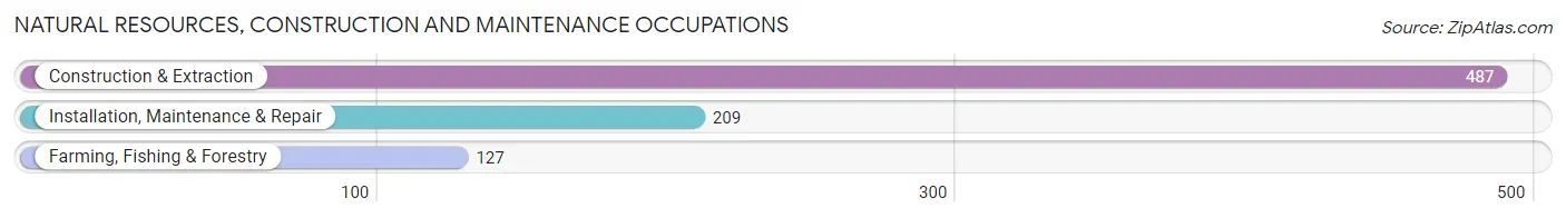 Natural Resources, Construction and Maintenance Occupations in White County