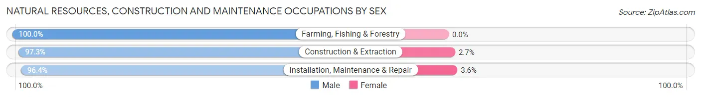 Natural Resources, Construction and Maintenance Occupations by Sex in Woodford County