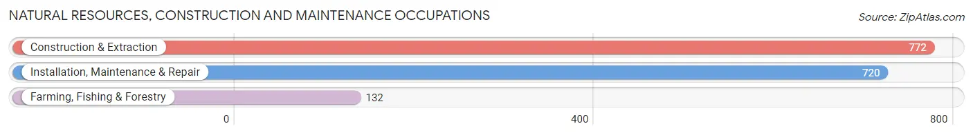 Natural Resources, Construction and Maintenance Occupations in Woodford County