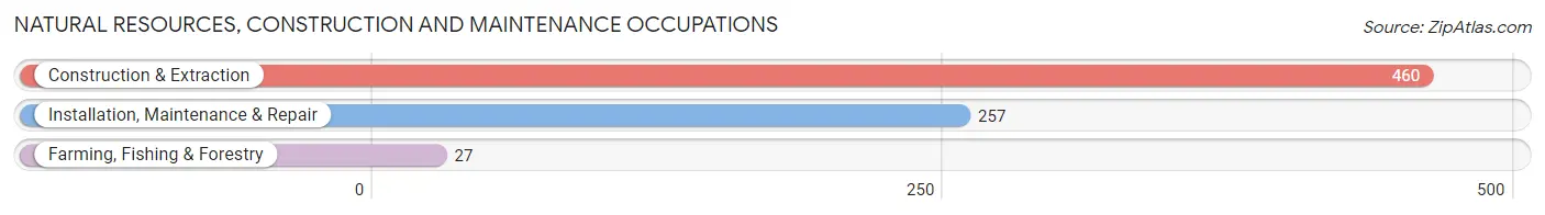 Natural Resources, Construction and Maintenance Occupations in Allen County