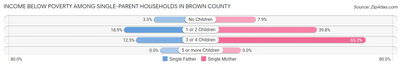 Income Below Poverty Among Single-Parent Households in Brown County