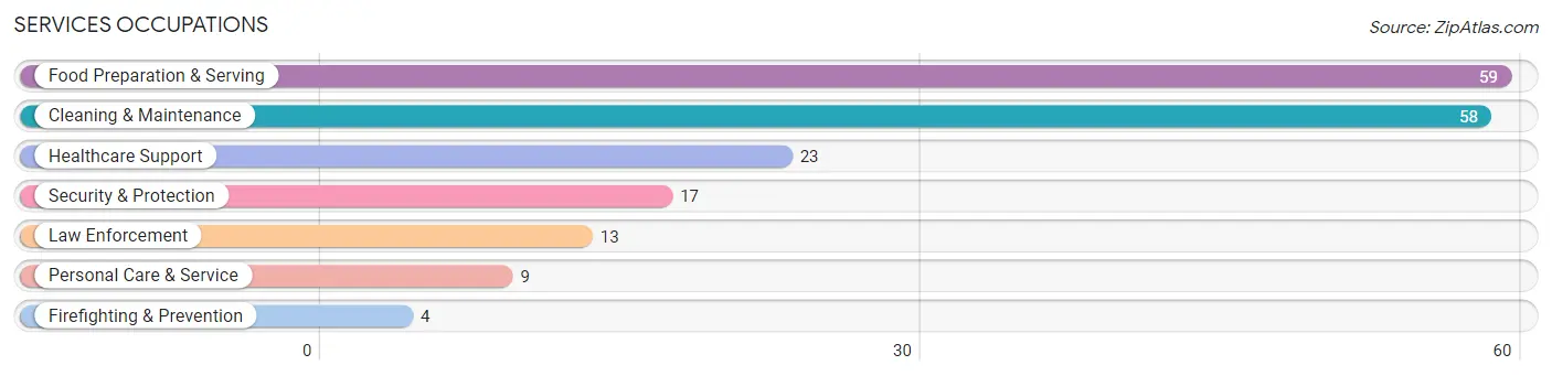 Services Occupations in Chase County