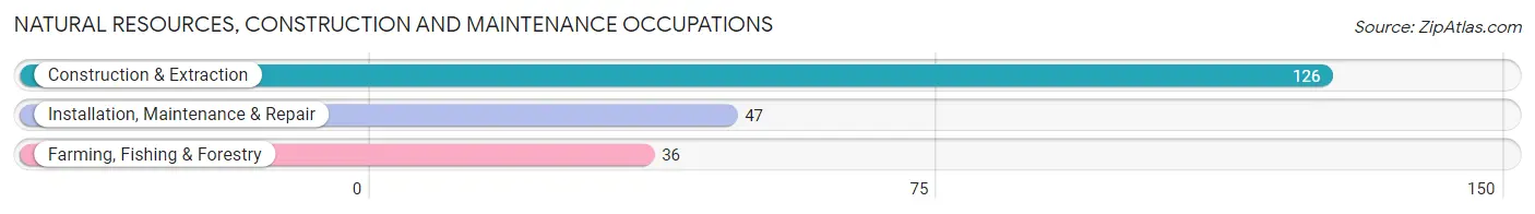Natural Resources, Construction and Maintenance Occupations in Chautauqua County