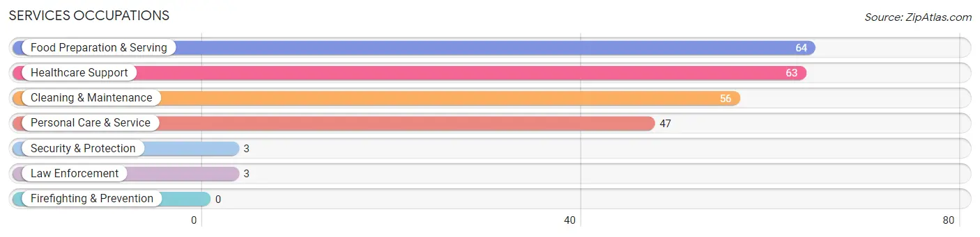 Services Occupations in Cheyenne County
