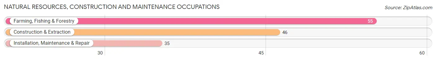 Natural Resources, Construction and Maintenance Occupations in Comanche County