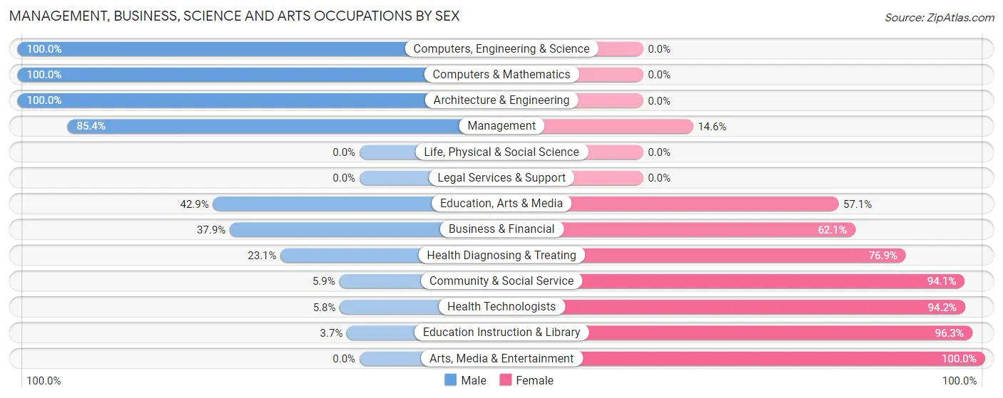 Management, Business, Science and Arts Occupations by Sex in Decatur County