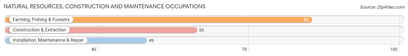 Natural Resources, Construction and Maintenance Occupations in Decatur County