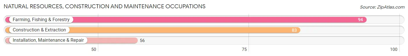 Natural Resources, Construction and Maintenance Occupations in Edwards County