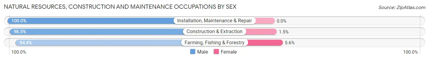 Natural Resources, Construction and Maintenance Occupations by Sex in Ellsworth County