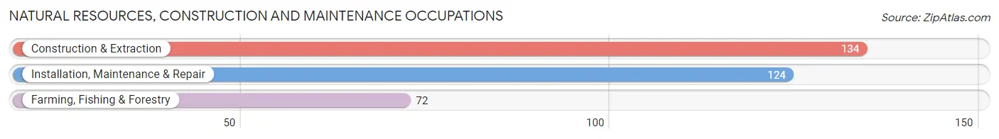 Natural Resources, Construction and Maintenance Occupations in Ellsworth County