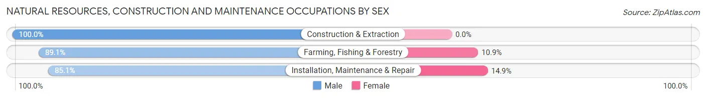 Natural Resources, Construction and Maintenance Occupations by Sex in Gray County