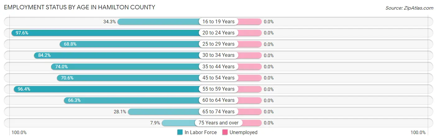 Employment Status by Age in Hamilton County