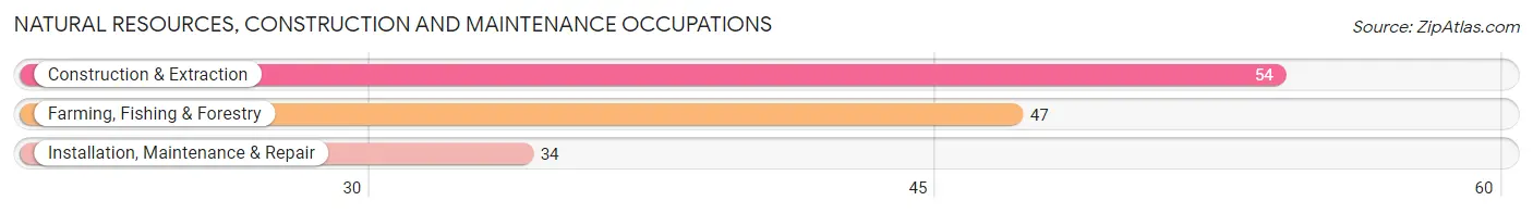 Natural Resources, Construction and Maintenance Occupations in Lane County