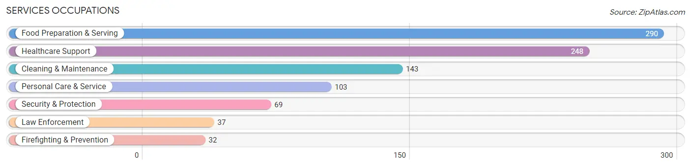 Services Occupations in Marion County