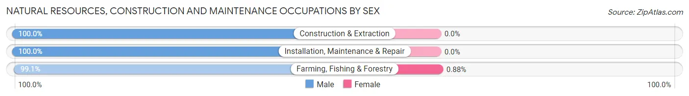 Natural Resources, Construction and Maintenance Occupations by Sex in Meade County