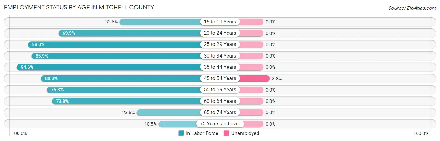 Employment Status by Age in Mitchell County