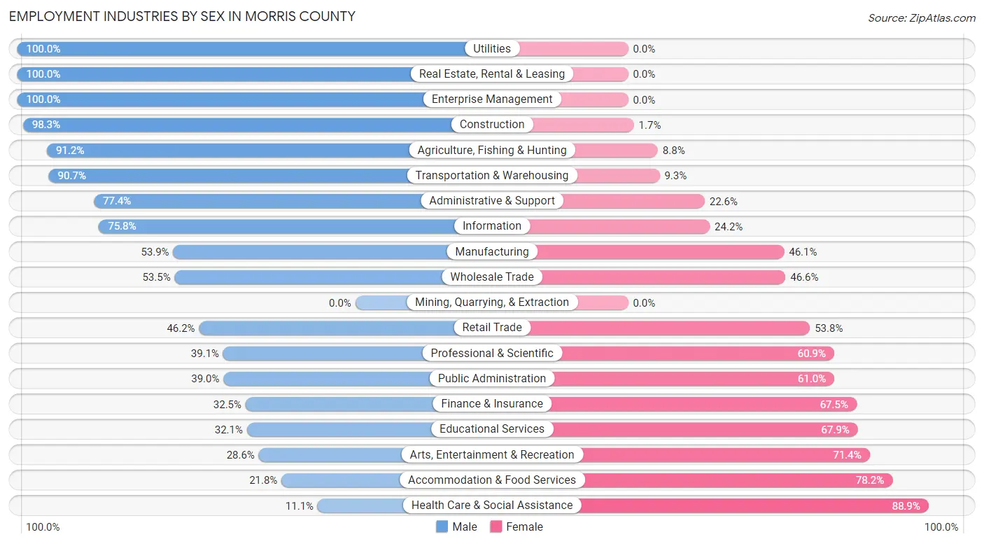 Employment Industries by Sex in Morris County